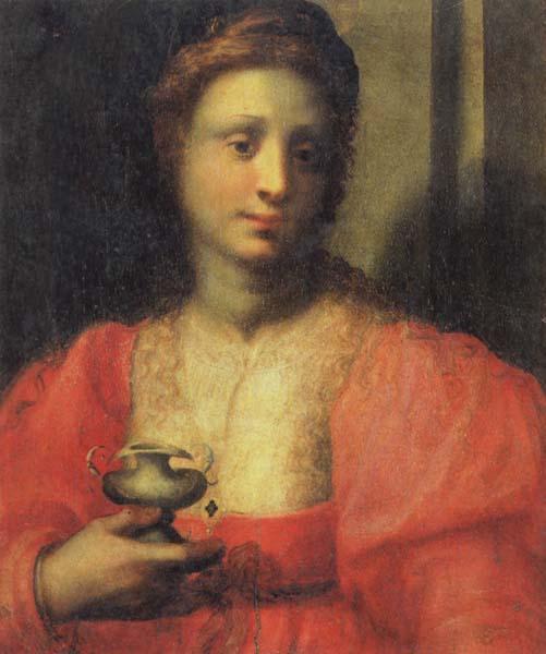 PULIGO, Domenico Portrait of a Woman Dressed as Mary Magdalen Sweden oil painting art